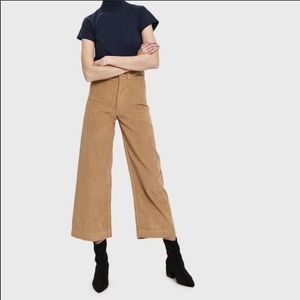 Jesse kamm palomino sailor (6)